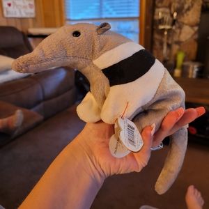 Ants the anteater beanie baby